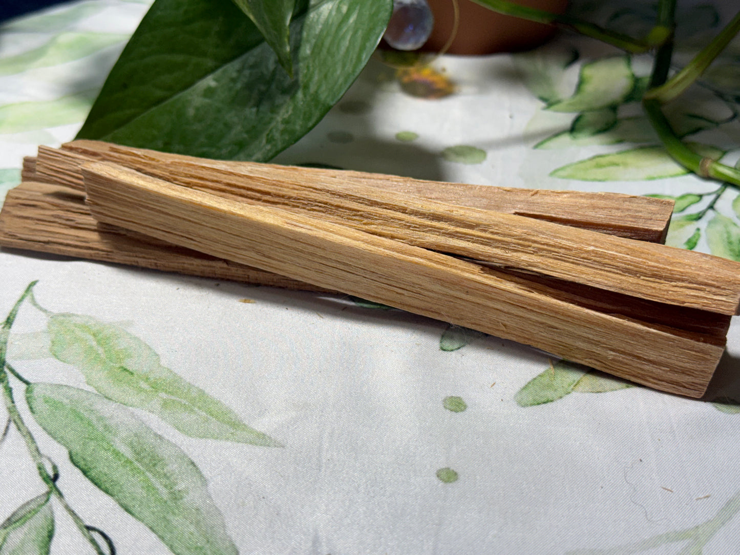 Palo Santo Cleansing Sticks | Purification & Energy Clearing