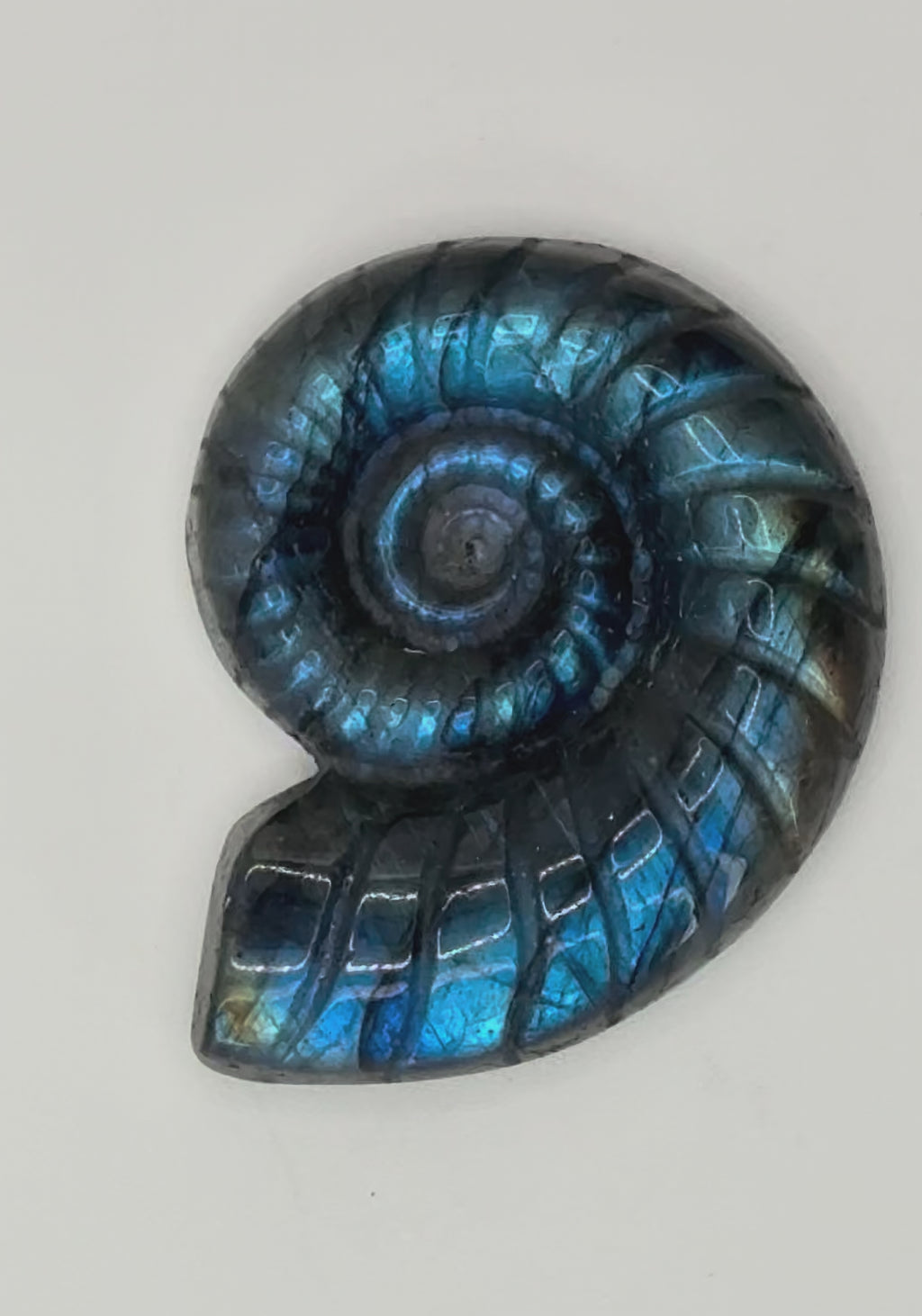 Labradorite Conch Shell Carving- Iridescent Crystal Carving for Transformation, Protection & Intuition