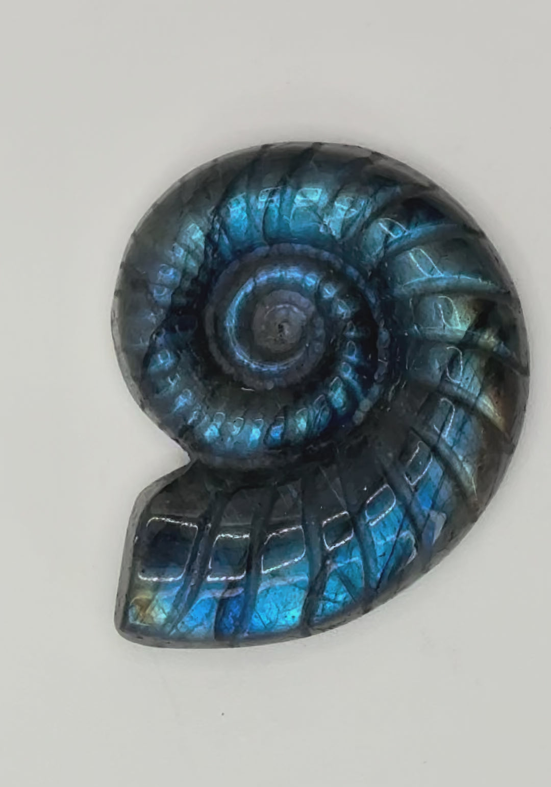 Labradorite Conch Shell Carving- Iridescent Crystal Carving for Transformation, Protection & Intuition
