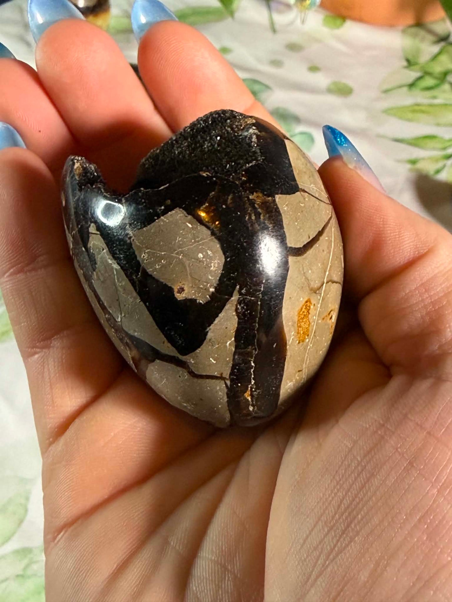 Druzy Septarian Egg Large– Grounding • Strength
