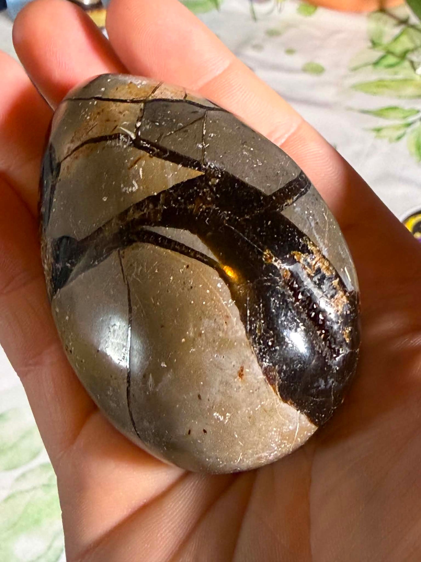 Druzy Septarian Egg Large– Grounding • Strength