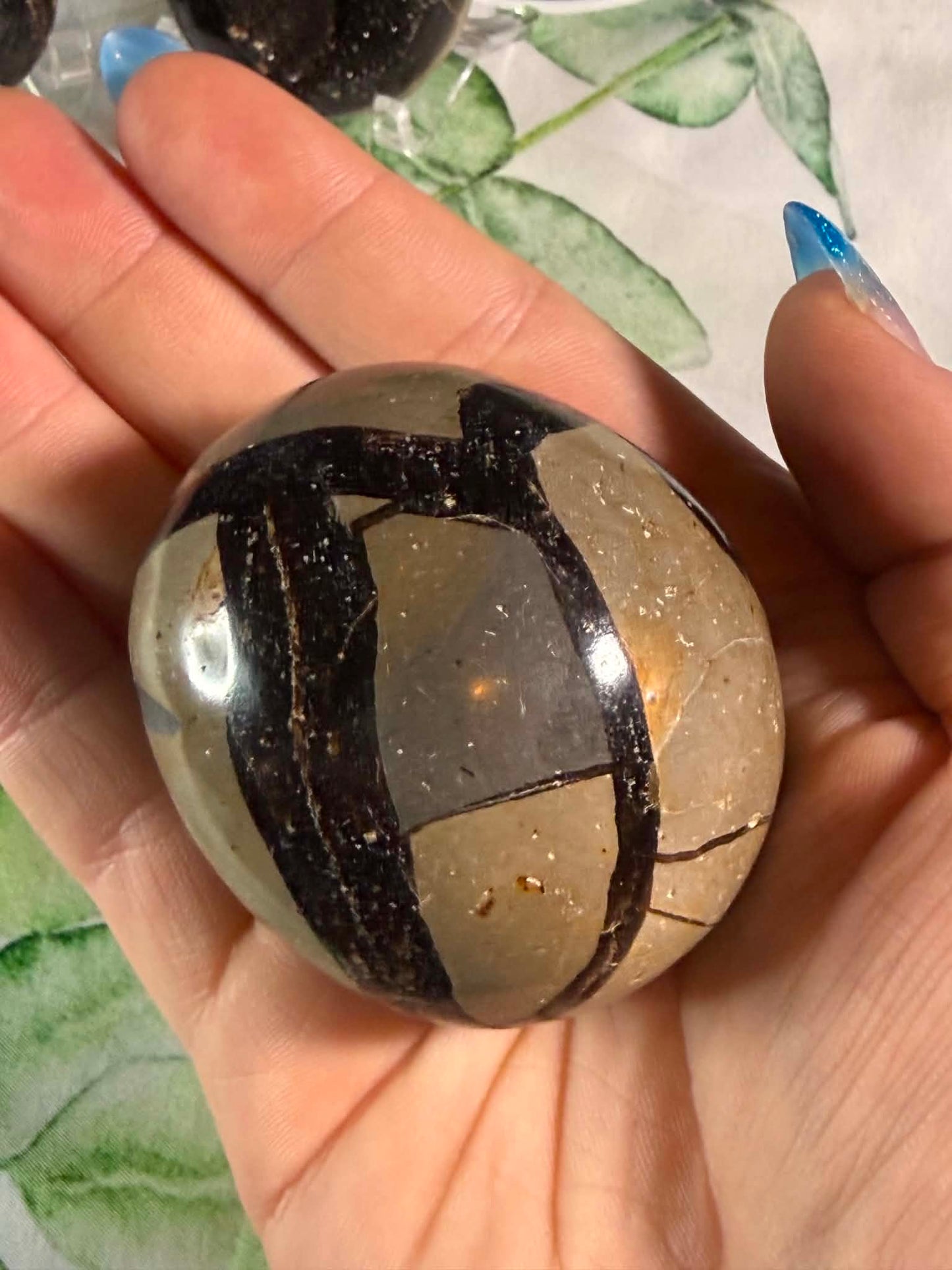 Druzy Septarian Egg Large– Grounding • Strength