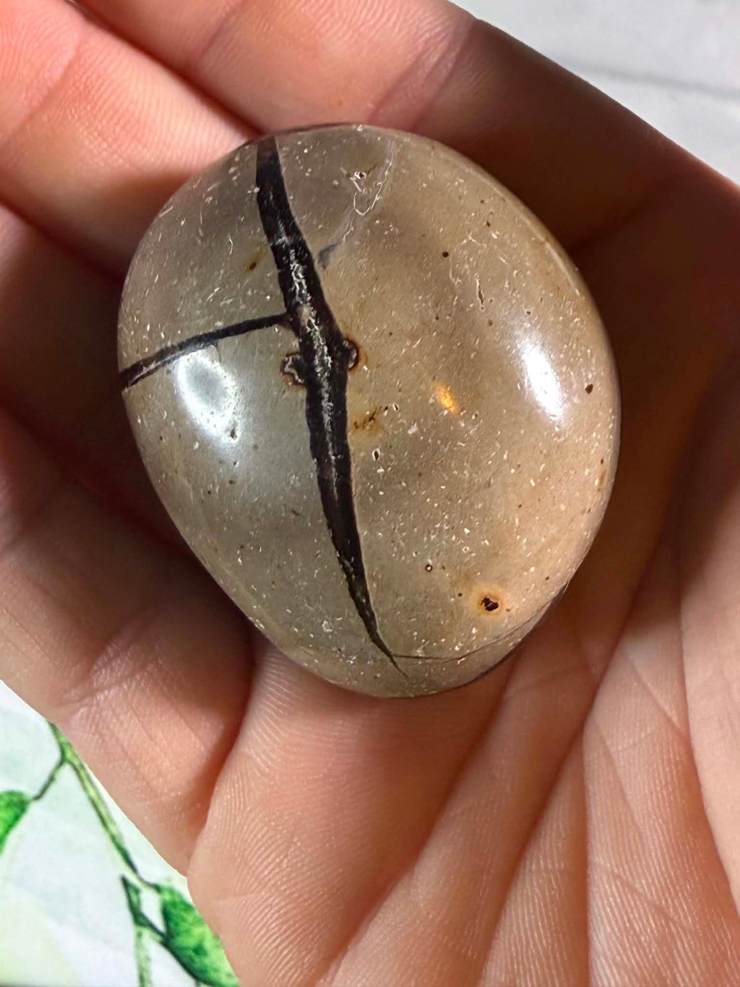 Druzy Septarian Egg XS– Grounding • Strength