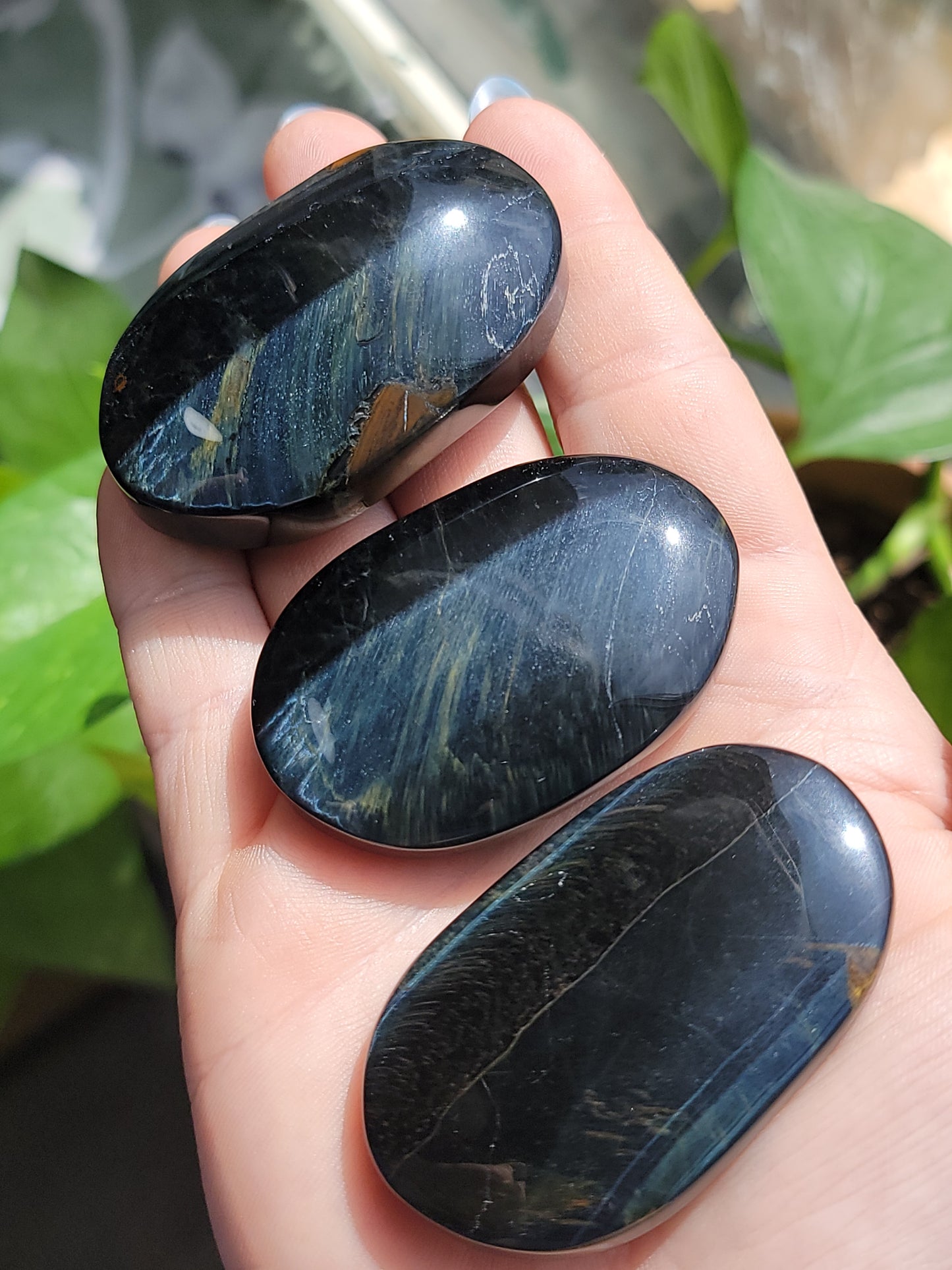 Blue Tiger Eye Palm Stone