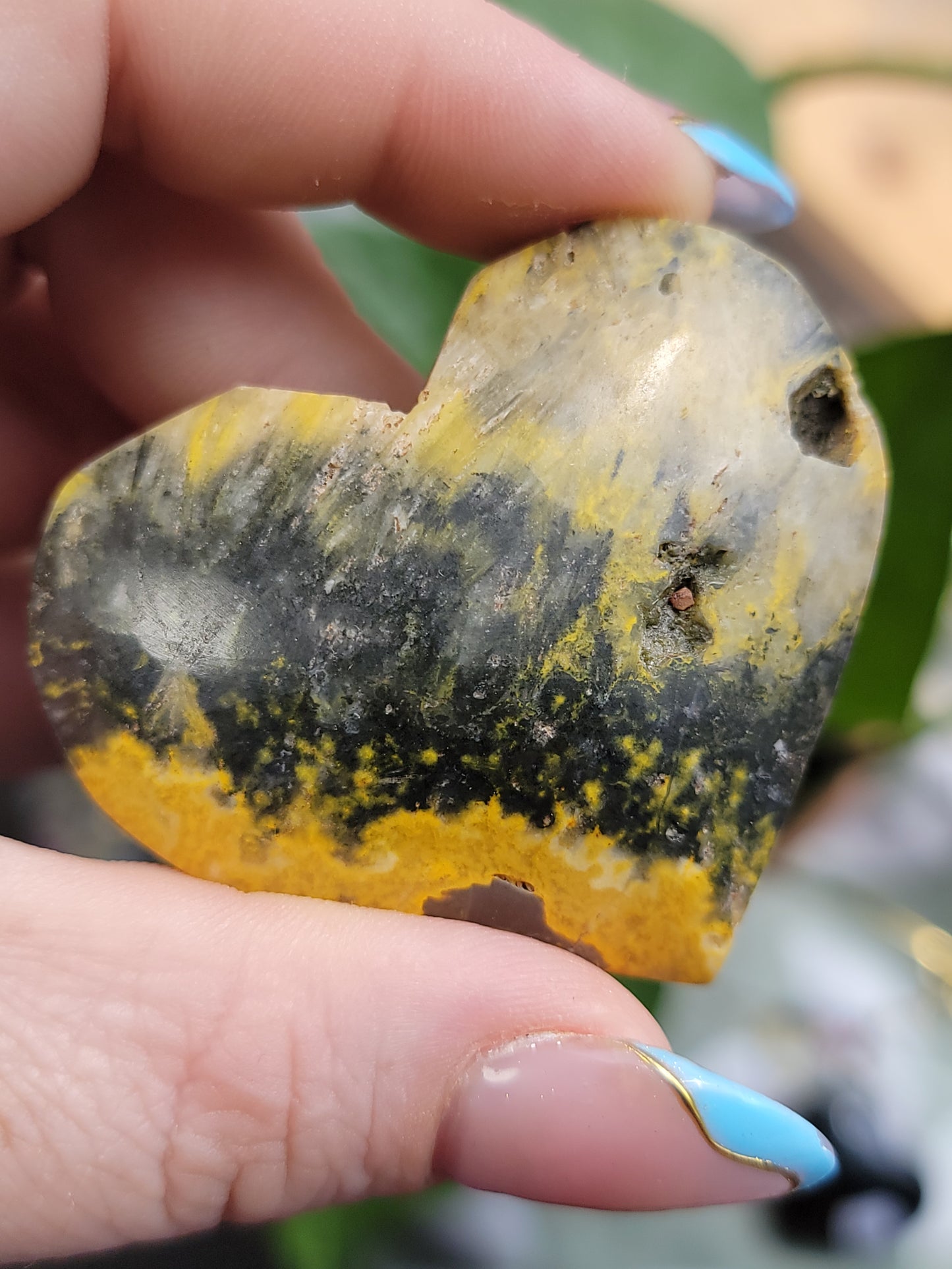 Bumblebee Jasper Heart Palm