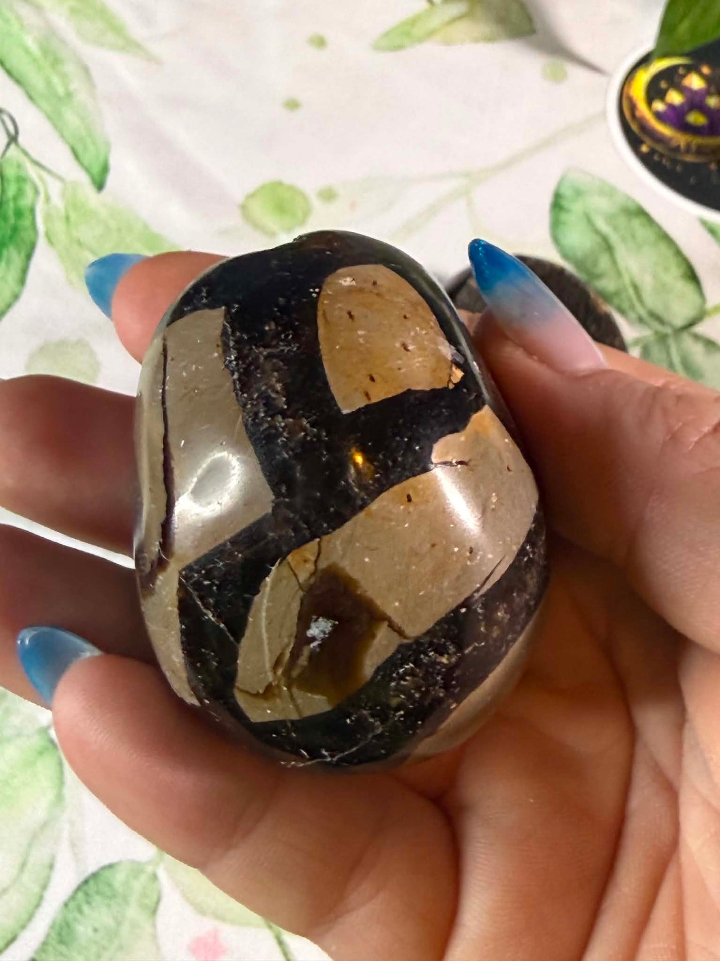 Druzy Septarian Egg Medium– Grounding • Strength