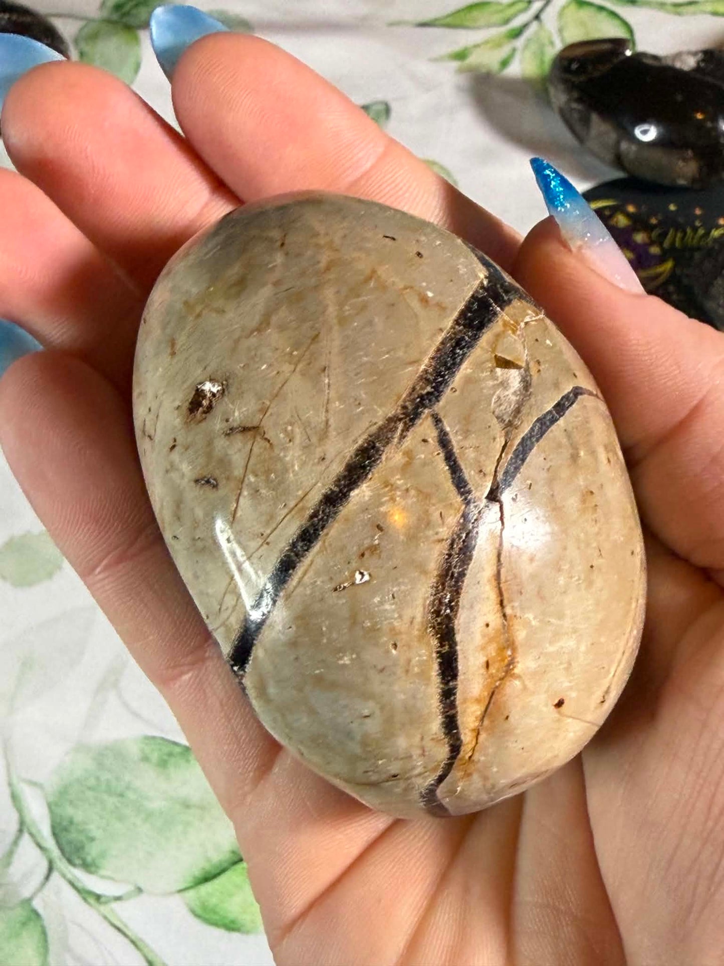 Druzy Septarian Egg Large– Grounding • Strength