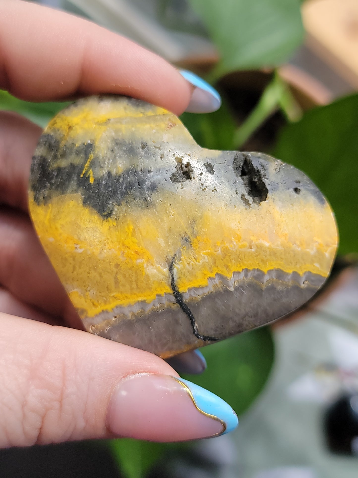 Bumblebee Jasper Heart Palm