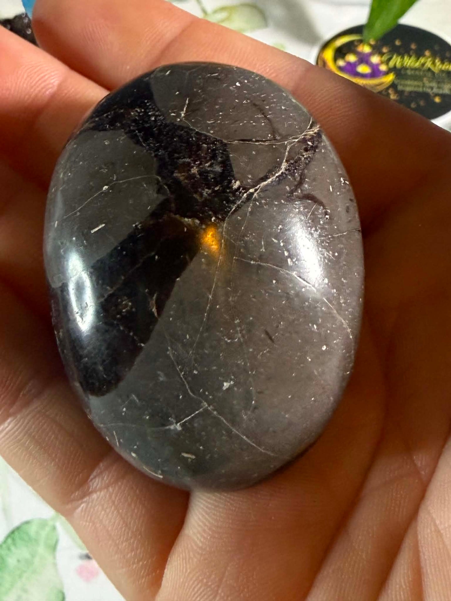 Druzy Septarian Egg XS– Grounding • Strength