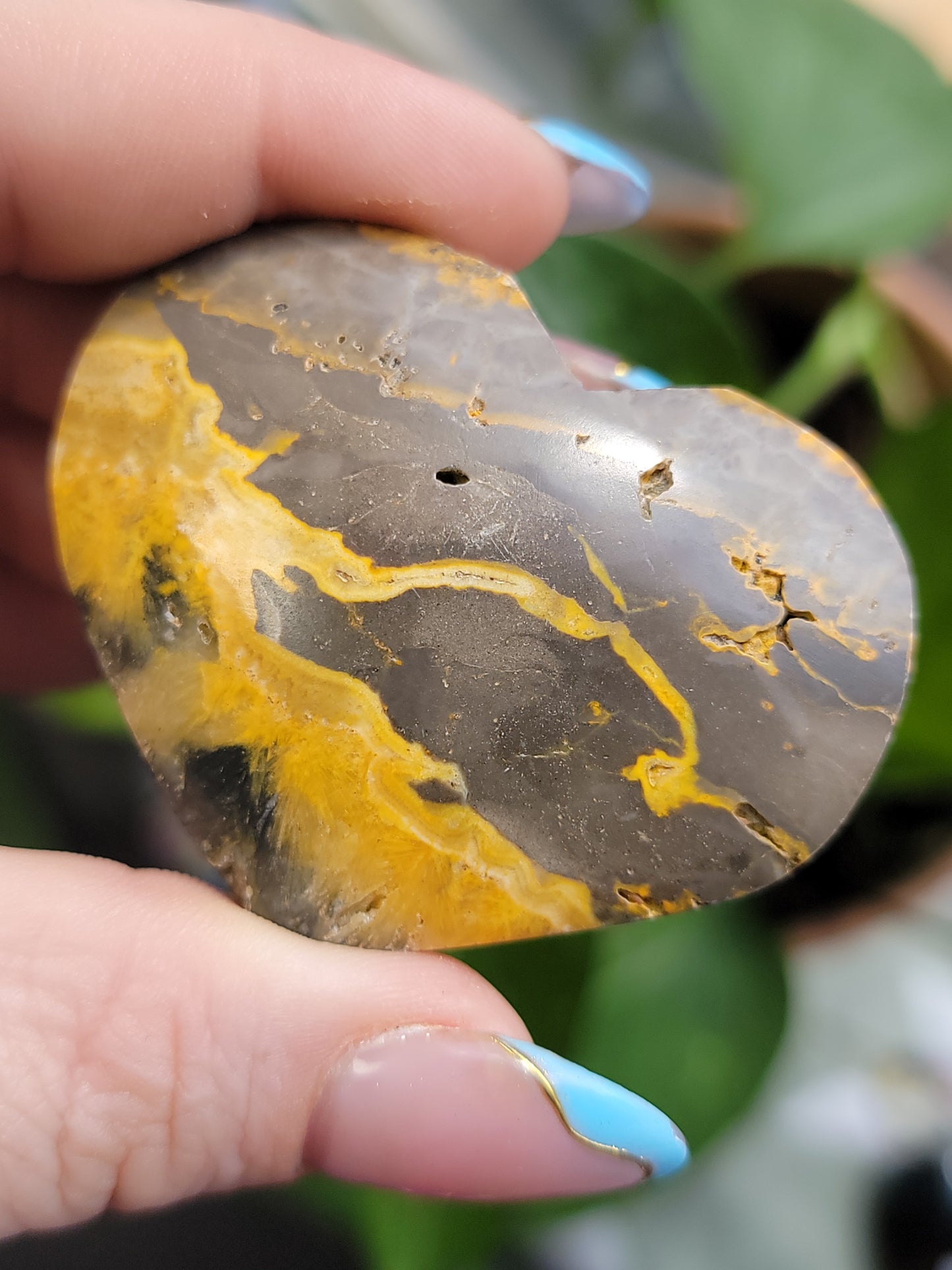 Bumblebee Jasper Heart Palm