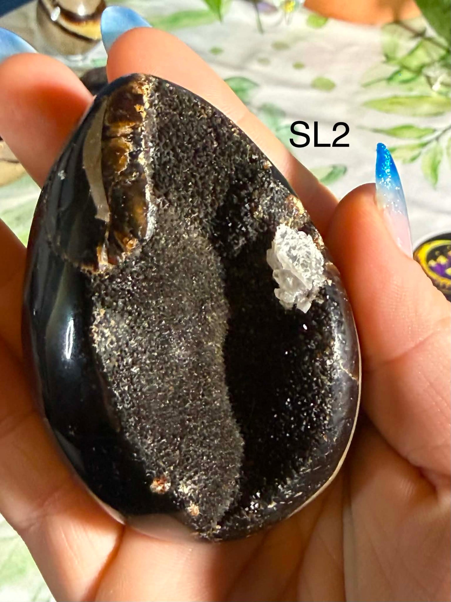 Druzy Septarian Egg Large– Grounding • Strength
