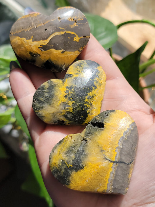 Bumblebee Jasper Heart Palm